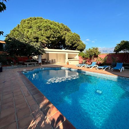 Residence Antonia Appartements Avec Piscine Commune - Centre Ville Calvi Calvi  Bagian luar foto